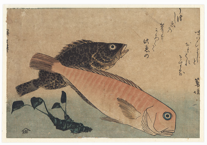 Sweet Sea Bream, Mebaru, and Horseradish by Hiroshige (1797 - 1858)