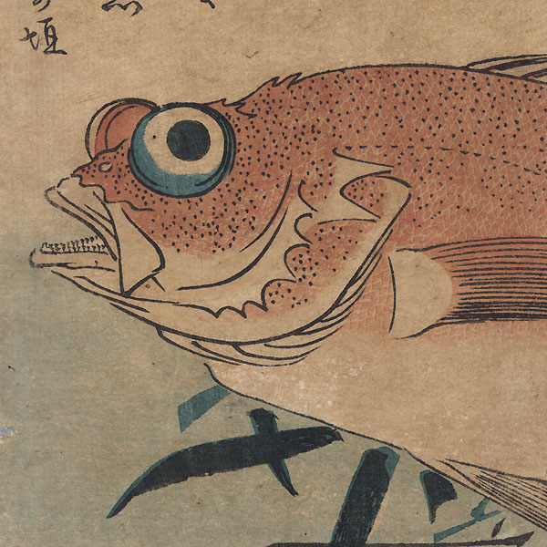 Goggle-eyed Sea Bream and Bamboo Grass by Hiroshige (1797 - 1858)