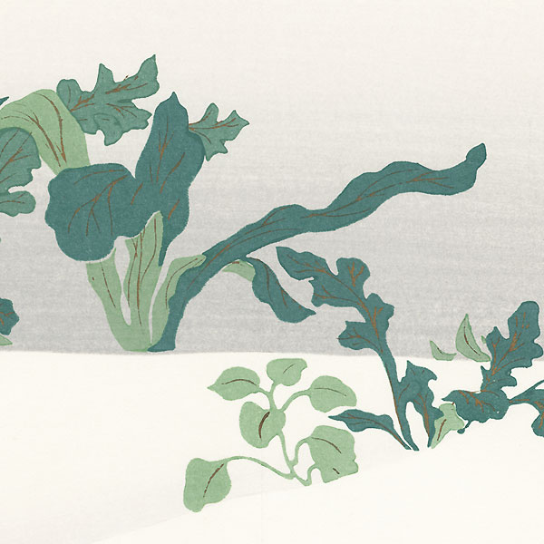 New Greens in Snow by Kamisaka Sekka (1866 - 1942) 