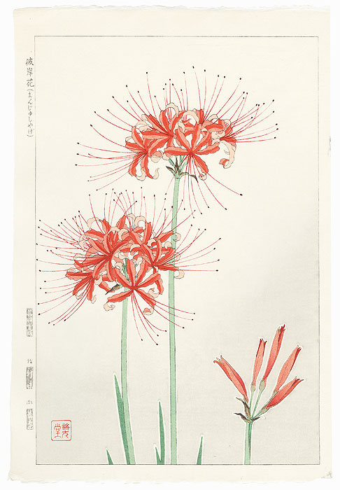 Spider Lilies by Kawarazaki Shodo (1889 - 1973)