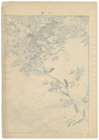 Drastic Price Reduction Moved to Clearance, Act Fast! by Imao Keinen (1845 - 1924) 
