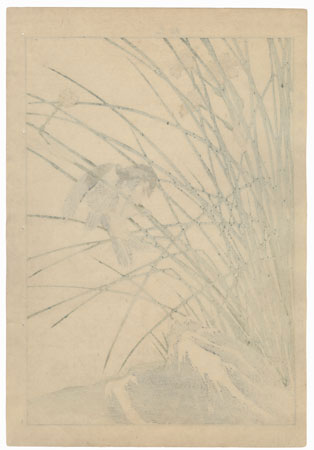 Single oban original - Spring Group, 1891 by Imao Keinen (1845 - 1924)