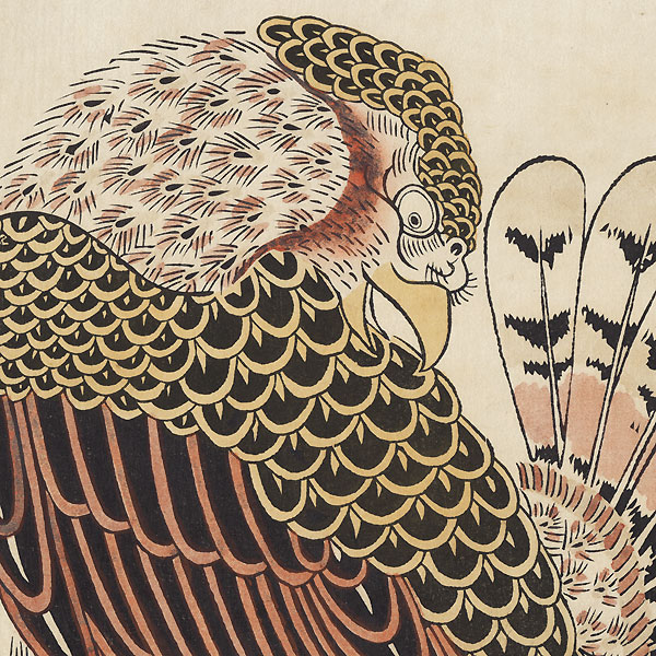Asiatic Sparrow-hawk on a Perch by Kiyomasu I (active circa 1696 - 1716)
