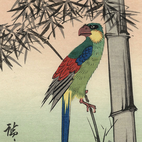 Macaw by Hiroshige (1797 - 1858)
