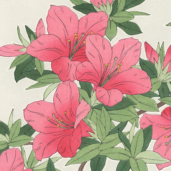 Pink Azalea by Kawarazaki Shodo (1889 - 1973)