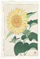 http://www.fujiarts.com/japanese-prints/DUPshodo/sunflower2f.jpg