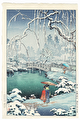 http://www.fujiarts.com/japanese-prints/DUPkoitsu/snowfall5f.jpg