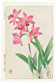 http://www.fujiarts.com/japanese-prints/DUPshodo/orchidsf.jpg