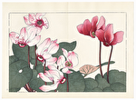 http://www.fujiarts.com/japanese-prints/k493/210k493f.jpg