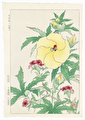 http://www.fujiarts.com/japanese-prints/DUPshodo/hibiscusyf.jpg