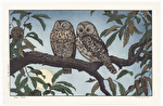 http://www.fujiarts.com/japanese-prints/DUPyoshida/owls3f.jpg