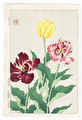 http://www.fujiarts.com/japanese-prints/DUPshodo/tulip2f.jpg