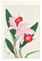 http://www.fujiarts.com/japanese-prints/DUPshodo/orchidp2f.jpg