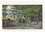 http://www.fujiarts.com/japanese-prints/DUPyoshida/bamboof.jpg